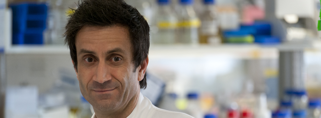 Projet Cancer cérébral pédiatrique