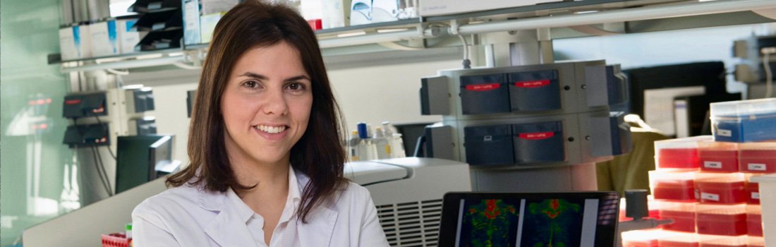 Projet sur l’image en immunothérapie